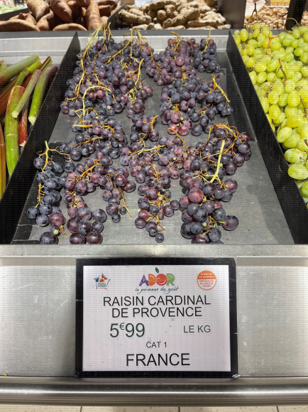 Raisin noir, variété Cardinal de Provence